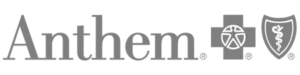 Anthem logo - grey